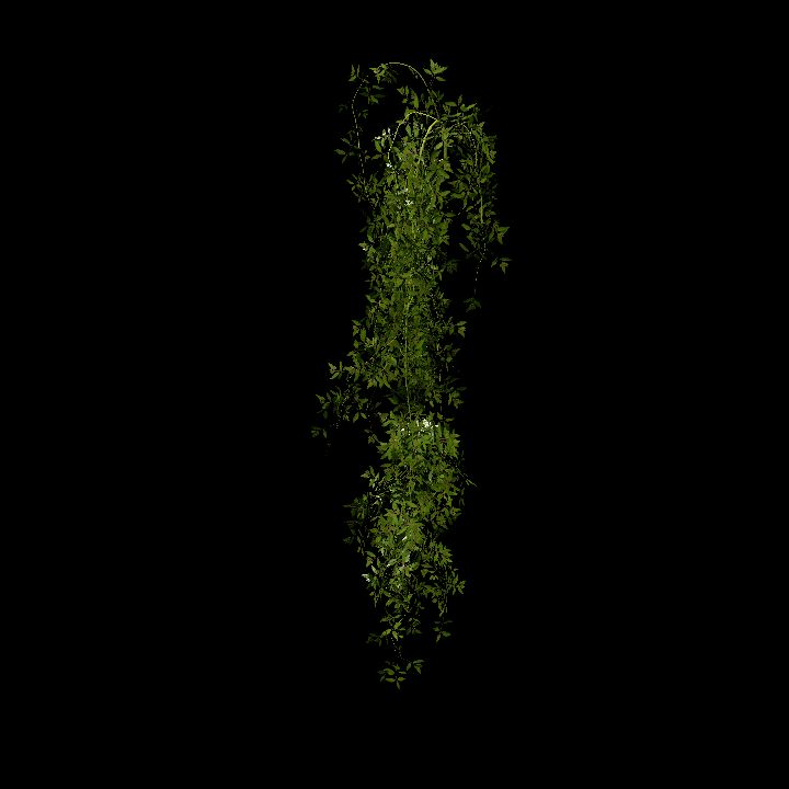 Hanging plants_03