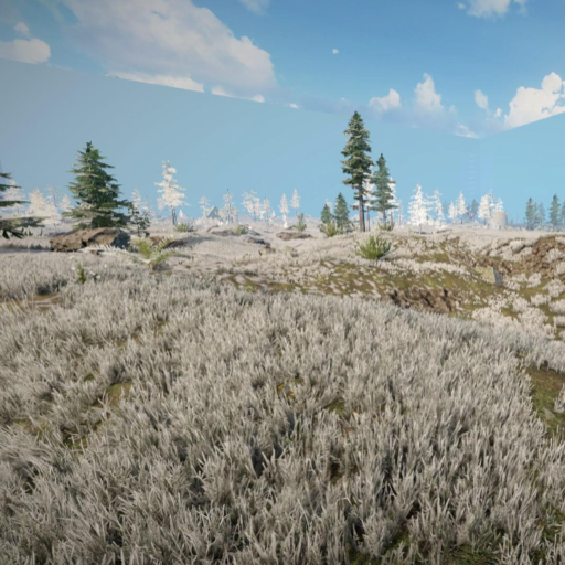 Cherskii Tundra