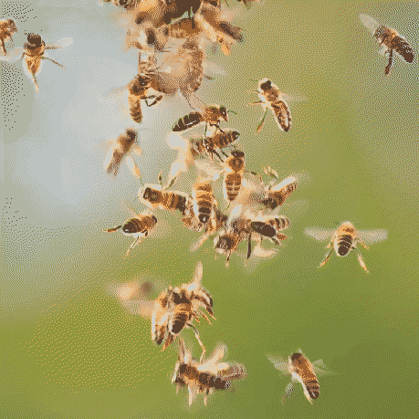 Swarm Pet preview