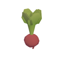 Radish
