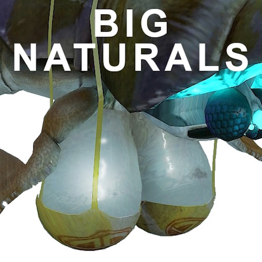 Gunship Big Naturals