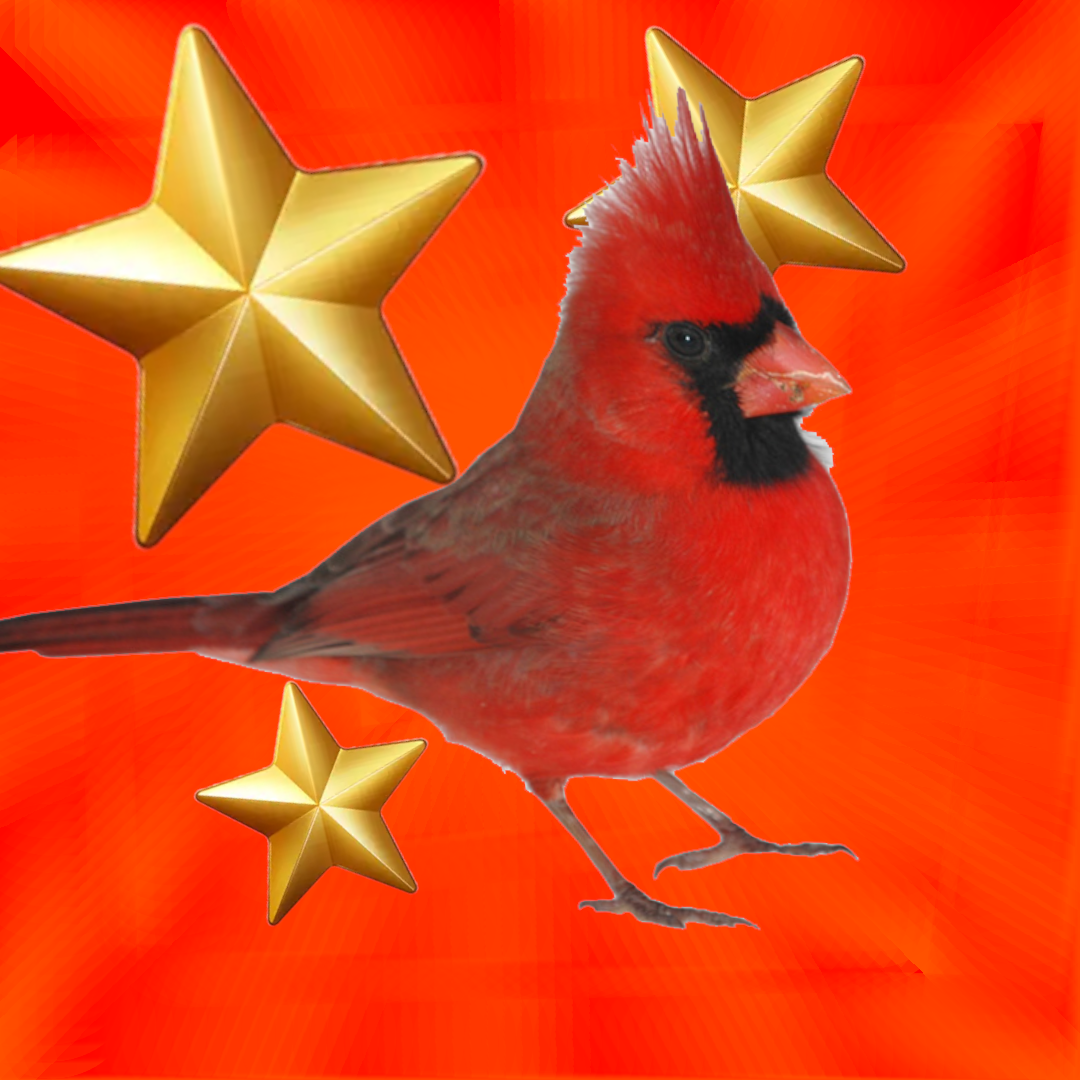 Cardinal