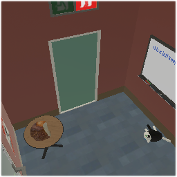 Doors and Cats