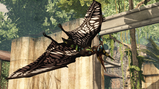 DragonFly Ptera (Store or free drop)