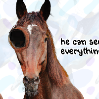 Hoofghanistan