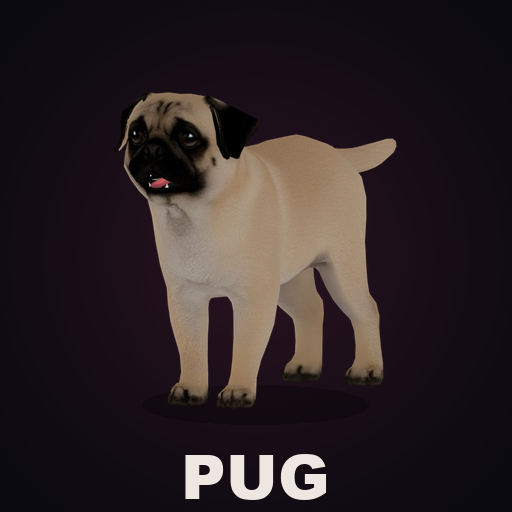 CD: Pug – Project Zomboid Mod