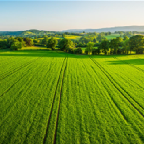 V70 Farms++