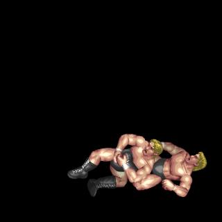 Generic Combo (Leg 3) (Face Up, Near Legs)