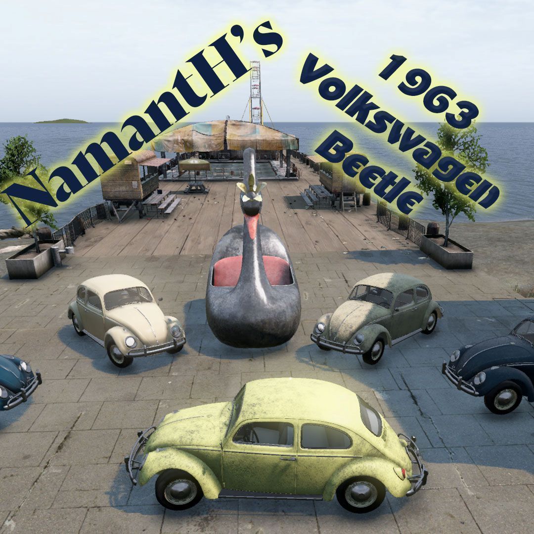 NamantHs 1963 Beetle