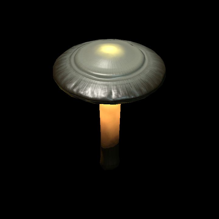Mushroom_Small_9_1