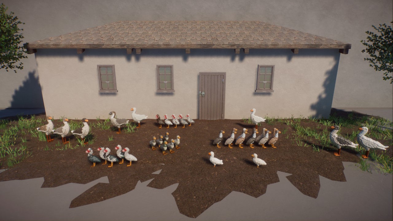 Rick's Domestic Waterfowl preview