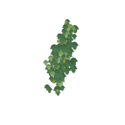 Vine wall B