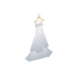 Wedding Dress Hanger D