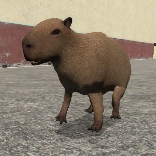 Capybara Player Model & NPCs