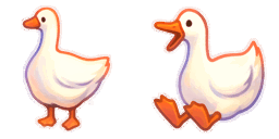 ducks