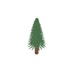 Pine Tree