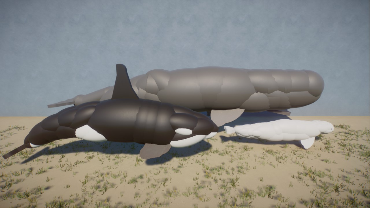 Rick's Whales preview