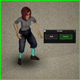 Gender Changer