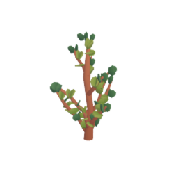 simple plants