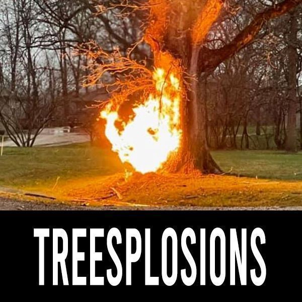 Zens TreeSplosions