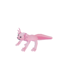 Axolotl
