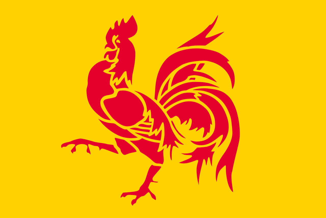 Wallonia Flag preview