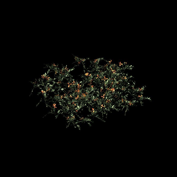 MarigoldOrange