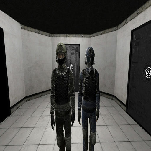 [PM] SCP SL: NTF as CI and CI as NTF
