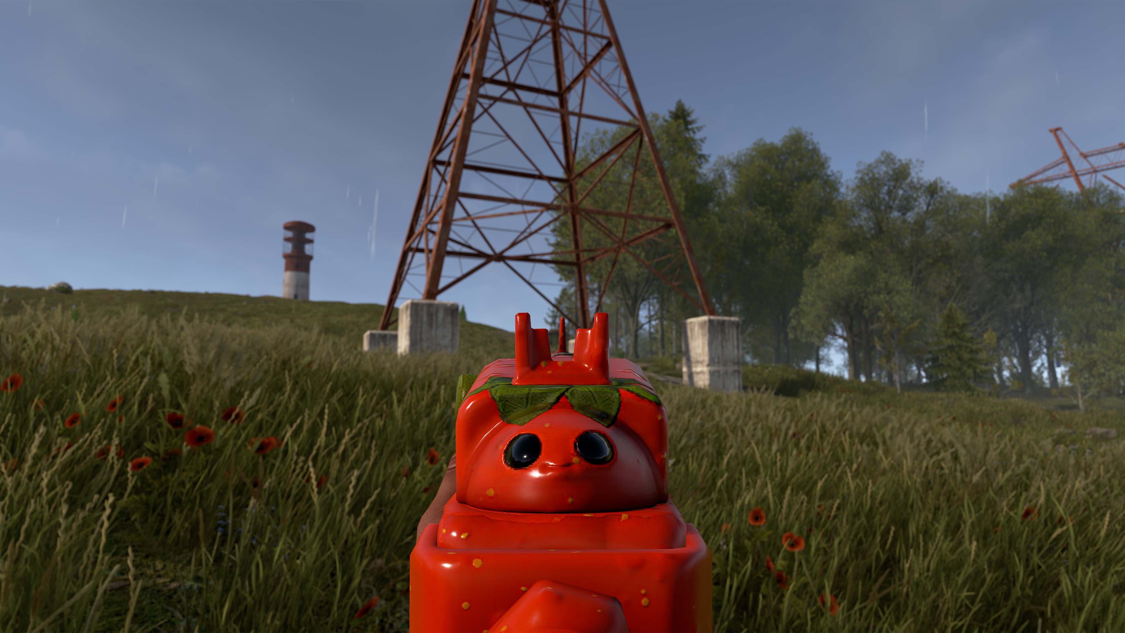 Señor Tomato SAR thumbnail 3