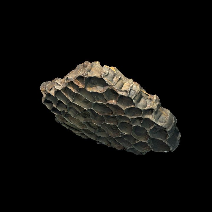 honeycomb