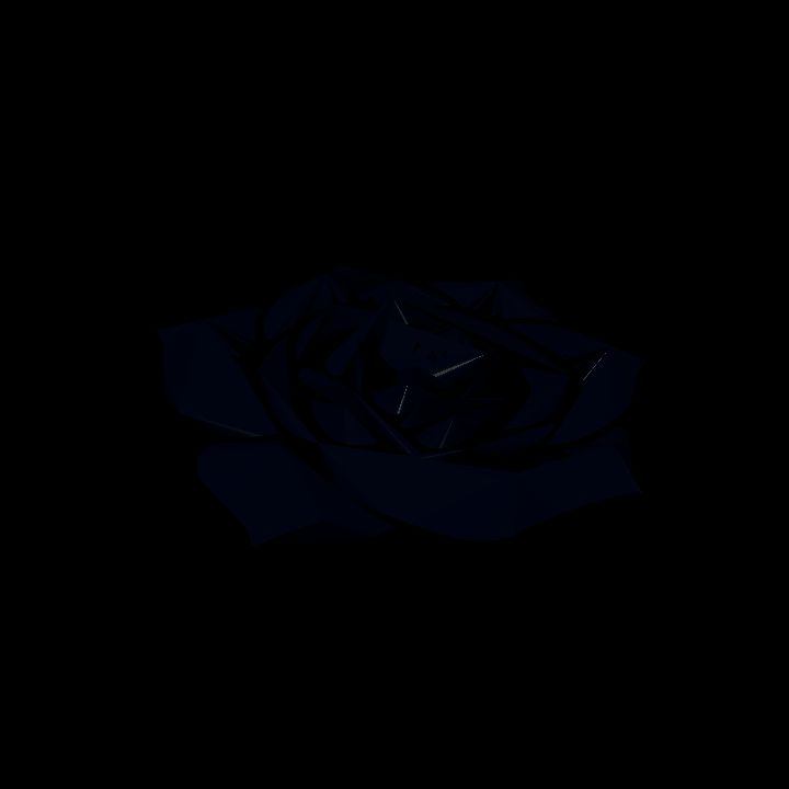 A glowing sigil - black rose
