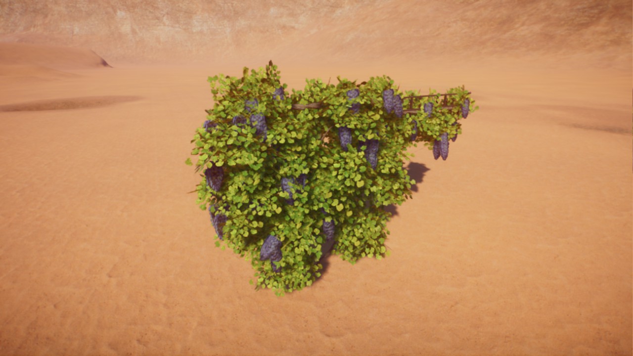 Grape Bush on lattice