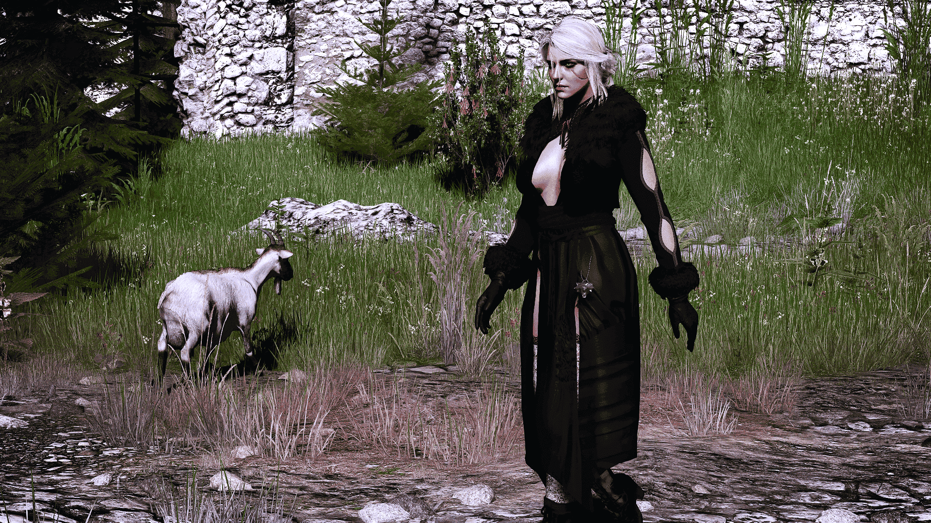 Ciri  Overhaul