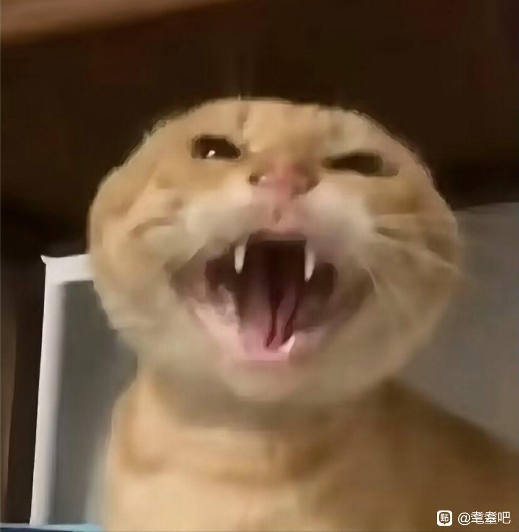 不准过来
