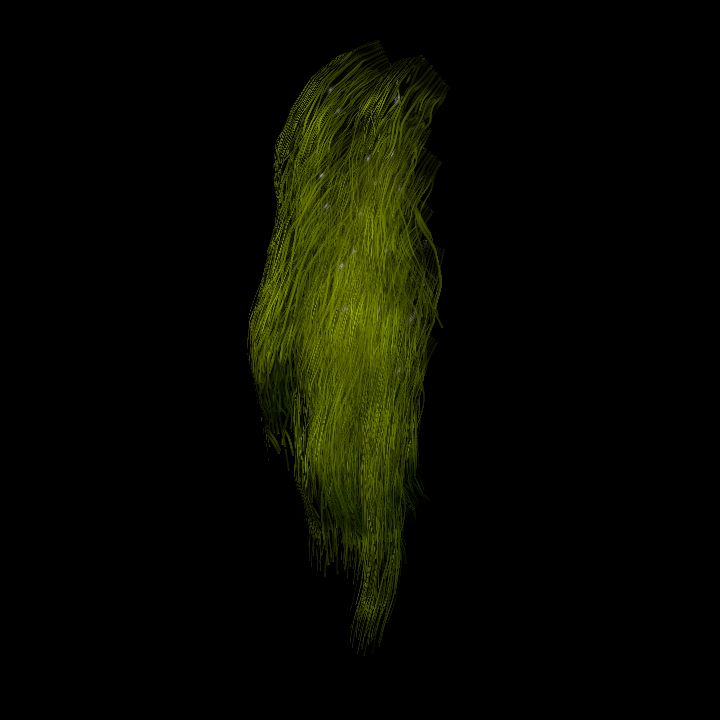 SwampTussocksSmallW_1