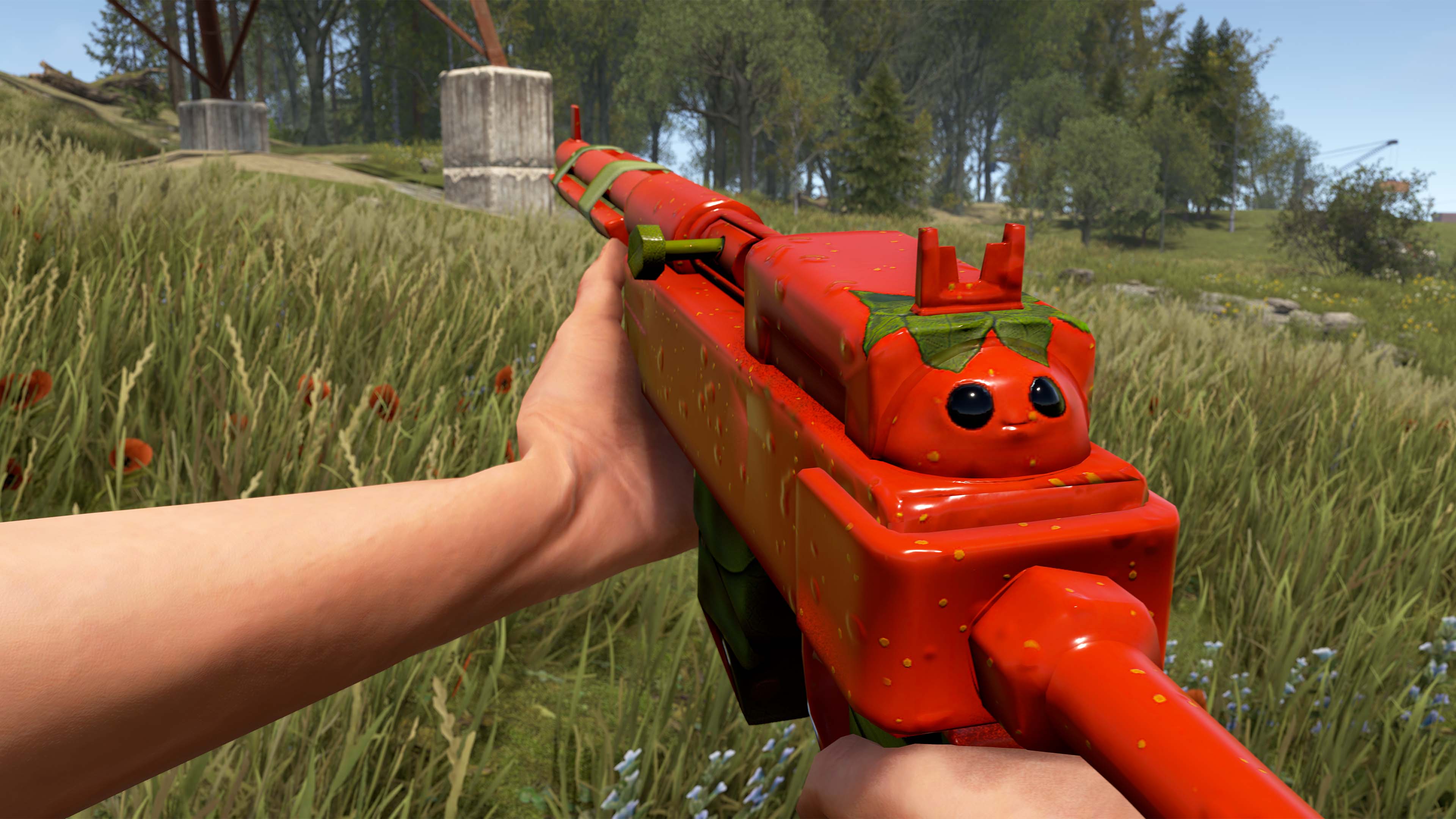 Señor Tomato SAR screenshot 1