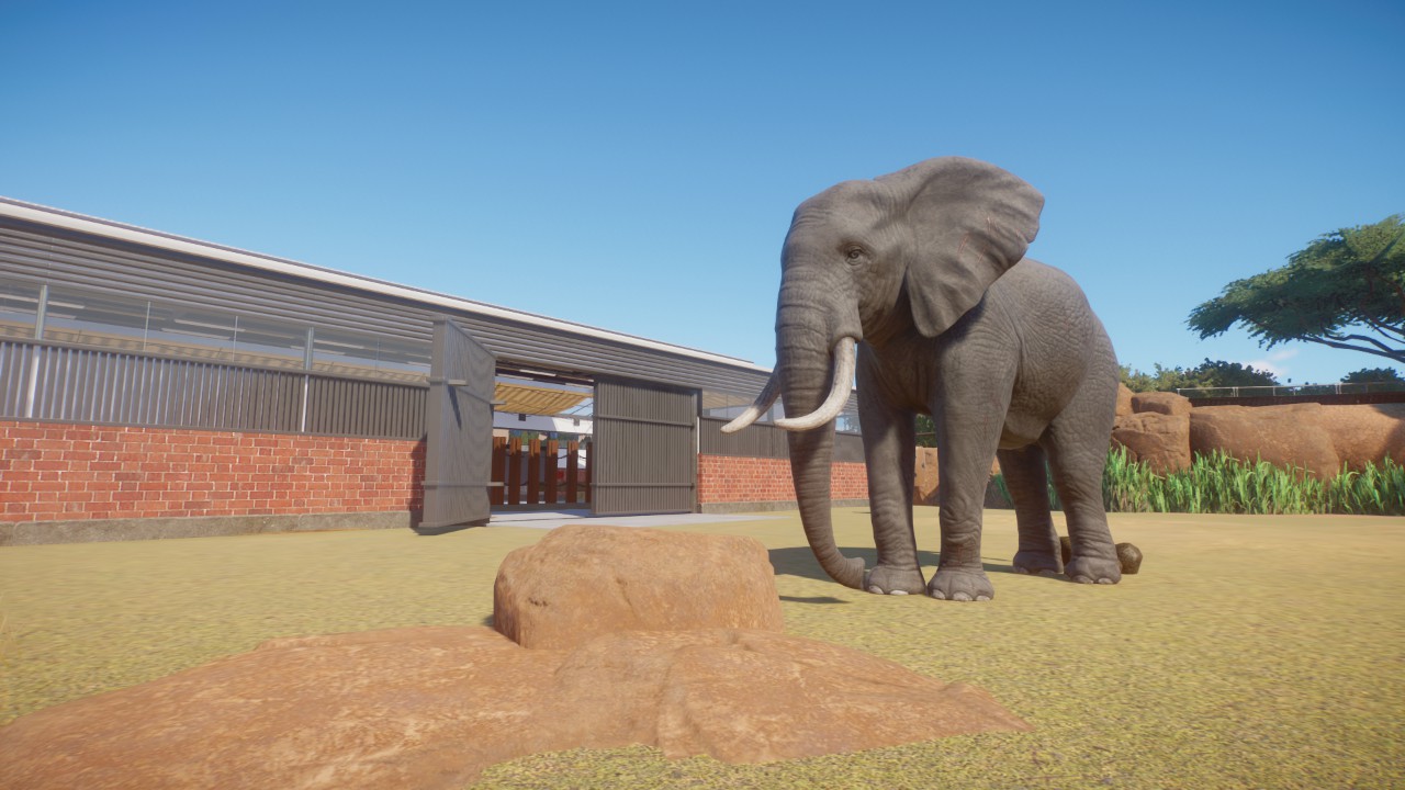 Large (high detailed) elephant habitats