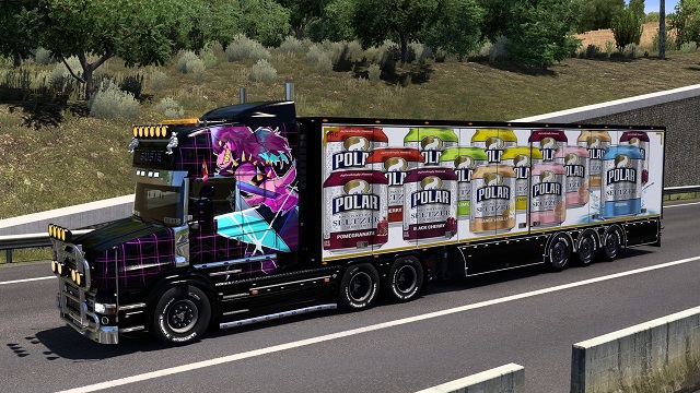 Polar Seltzer Trailer Skin