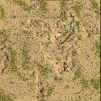 Sticks & Stones Skirmish