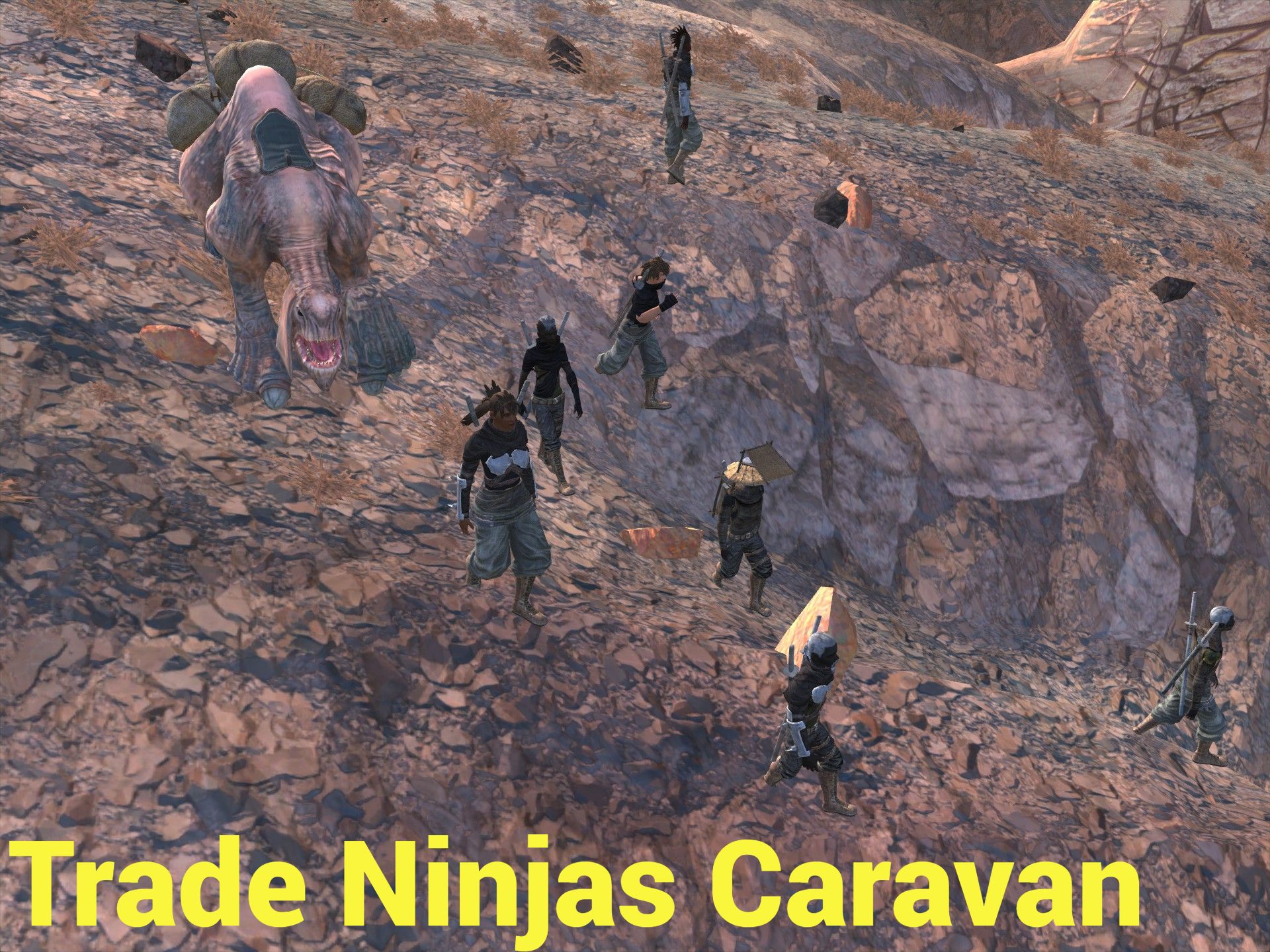 Trade Ninjas Caravan