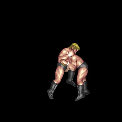 Clinch Body Knee