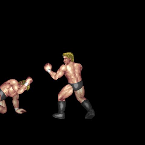 Face Whip Kick