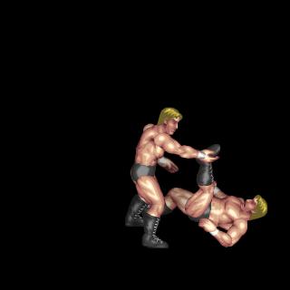 Generic Combo (Leg 1) (Face Up, Near Legs)
