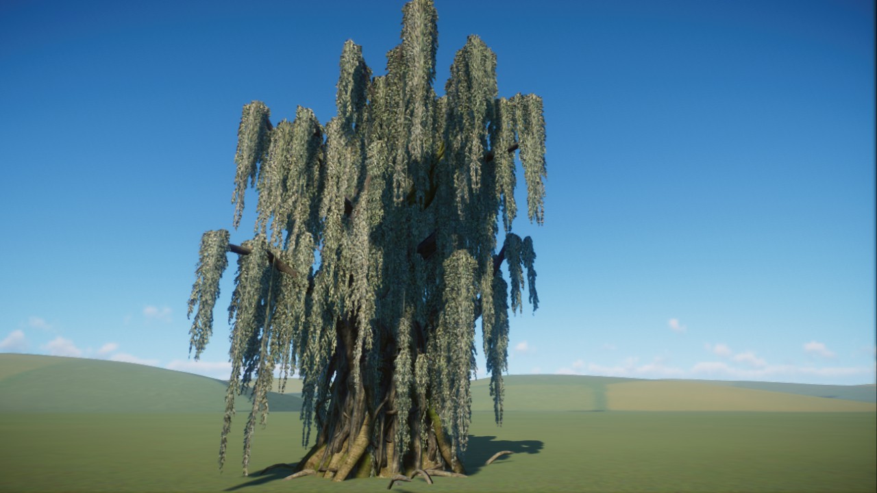 Weeping willow
