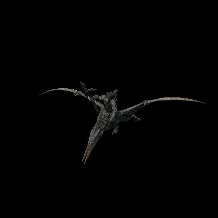 Skybeak Rider