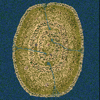 hä 1234 (8Players) preview