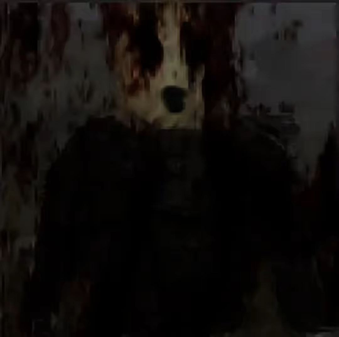 Shizopack