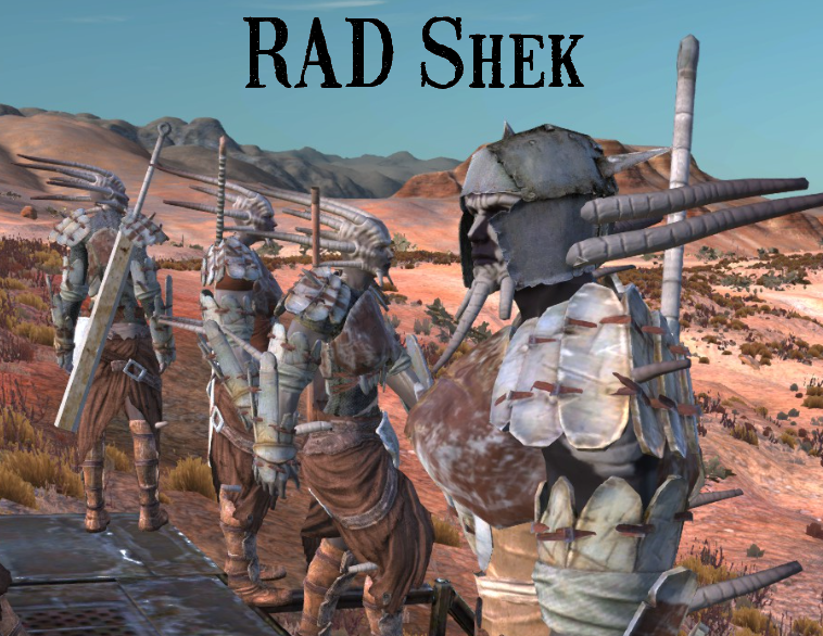 Realistic Apparel Diversity [RAD] - Shek