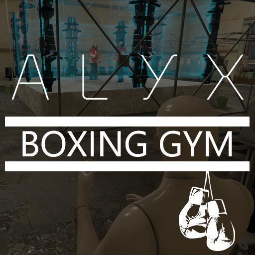 Alyx Boxing Gym