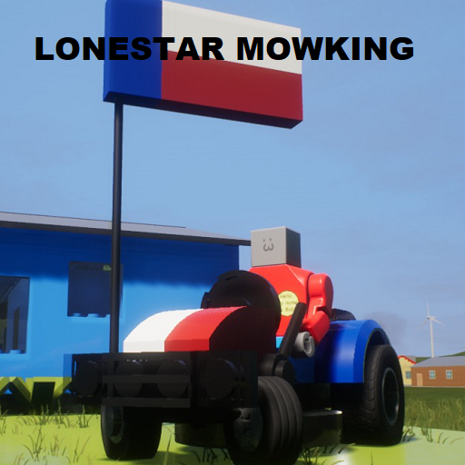lonestar autos moweking 1